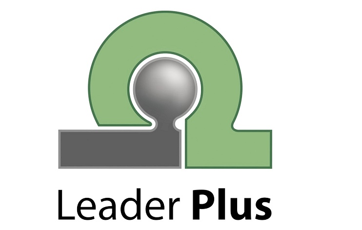 Логотип компании Leader Plus